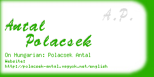 antal polacsek business card